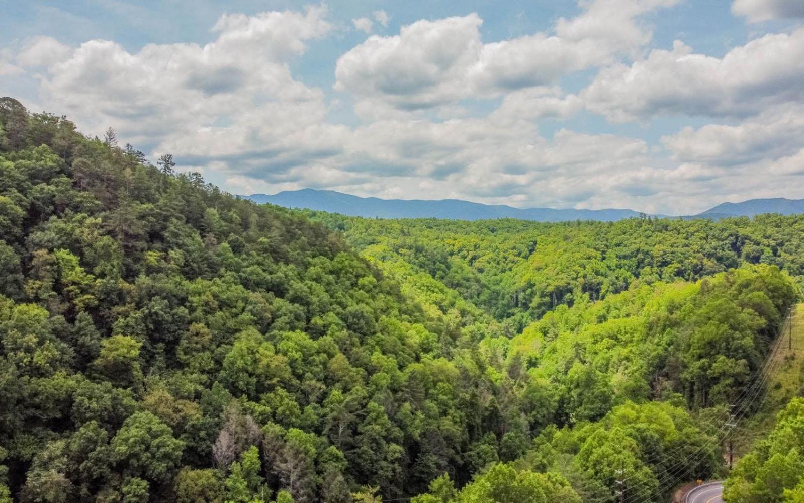 Rockytop Hideaway Townsend Exterior photo
